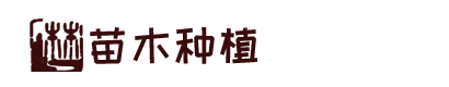凯时88,AG优质凯时